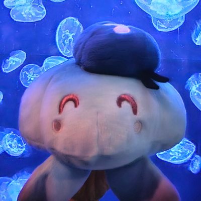 プロフィールアイコン